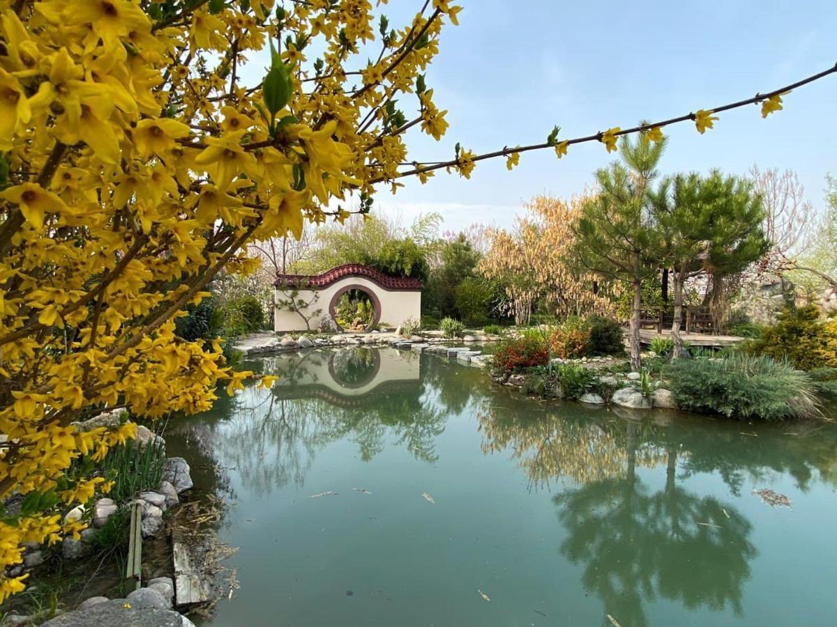 Uzumfermer Hotel&Winery Taschkent Exterior foto